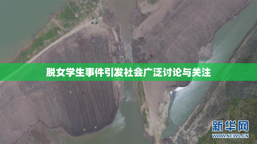 脱女学生事件引发社会广泛讨论与关注