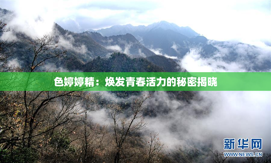 色婷婷精：焕发青春活力的秘密揭晓