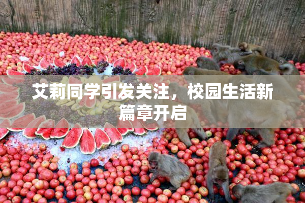 艾莉同学引发关注，校园生活新篇章开启