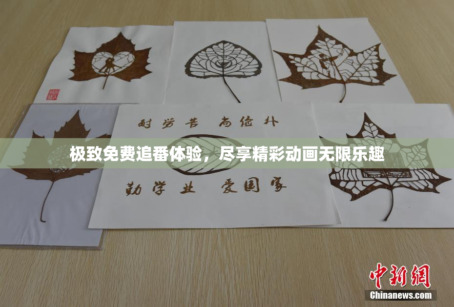 极致免费追番体验，尽享精彩动画无限乐趣