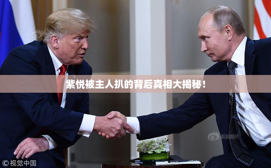 紫悦被主人扒的背后真相大揭秘！