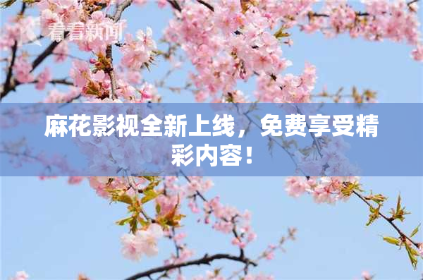 麻花影视全新上线，免费享受精彩内容！