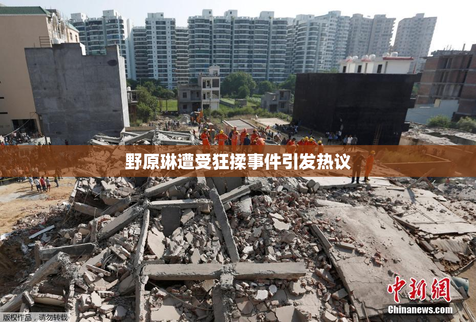 野原琳遭受狂揉事件引发热议