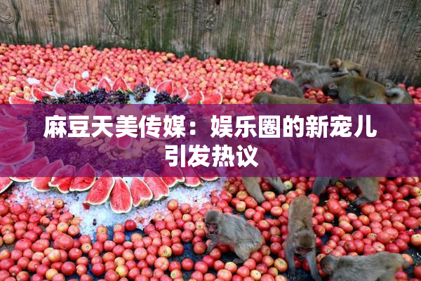 麻豆天美传媒：娱乐圈的新宠儿引发热议