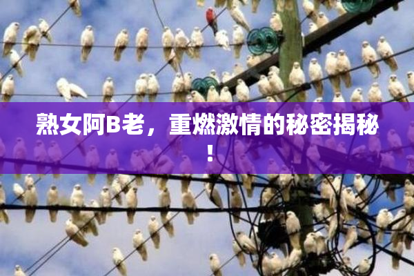 熟女阿B老，重燃激情的秘密揭秘！