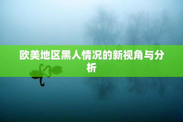 欧美地区黑人情况的新视角与分析
