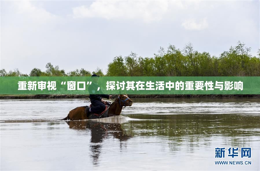 重新审视“窗口”，探讨其在生活中的重要性与影响
