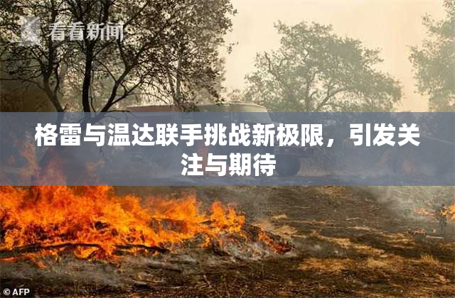格雷与温达联手挑战新极限，引发关注与期待