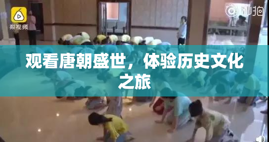 观看唐朝盛世，体验历史文化之旅
