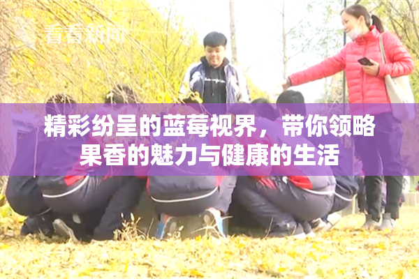 精彩纷呈的蓝莓视界，带你领略果香的魅力与健康的生活