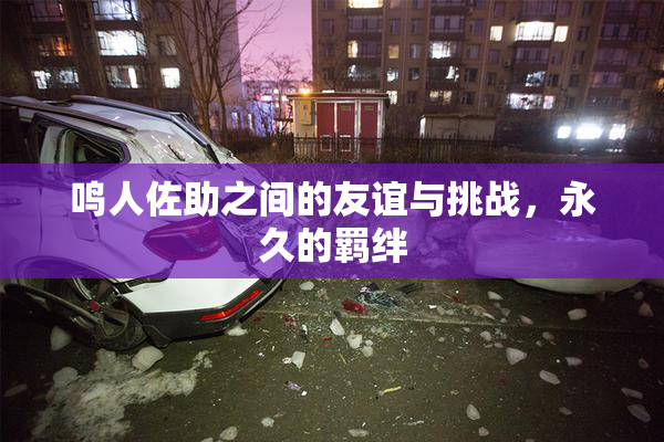 鸣人佐助之间的友谊与挑战，永久的羁绊