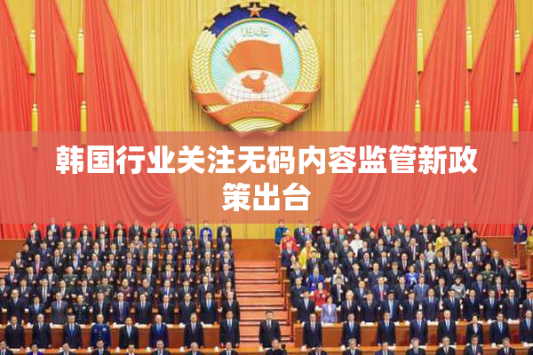 韩国行业关注无码内容监管新政策出台