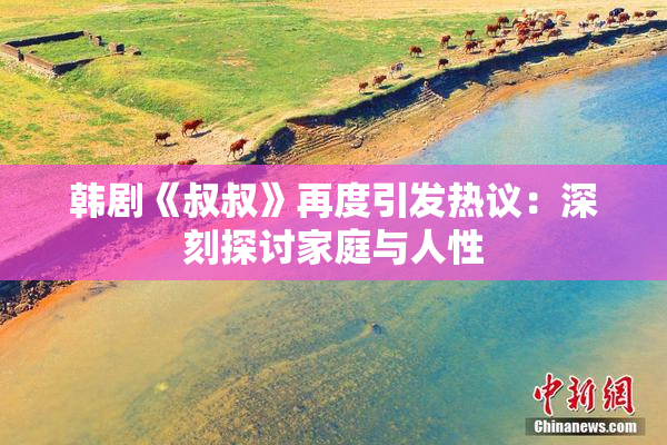 韩剧《叔叔》再度引发热议：深刻探讨家庭与人性