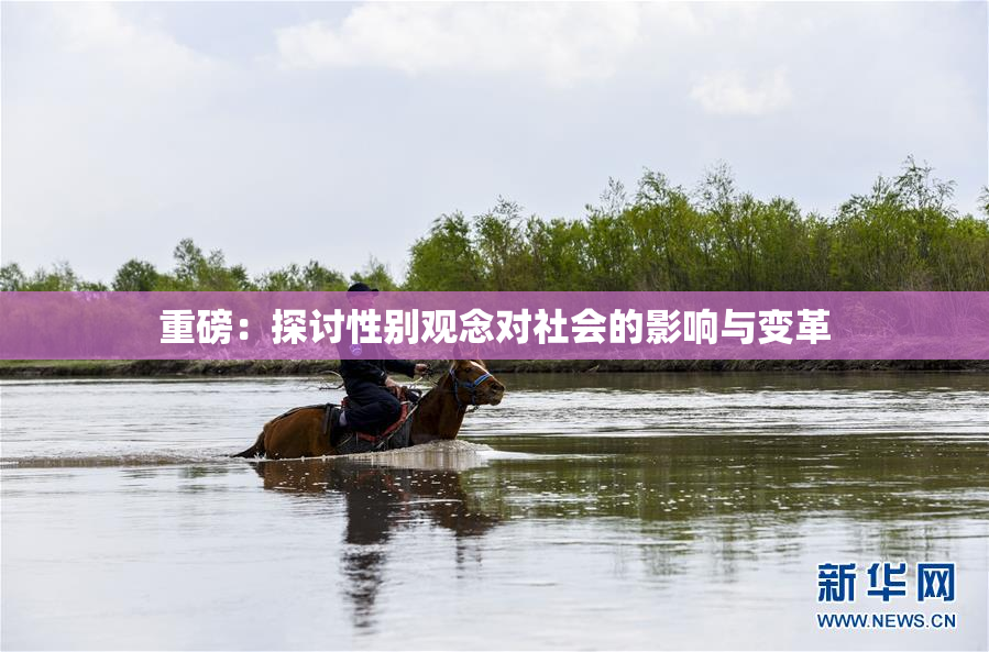 重磅：探讨性别观念对社会的影响与变革