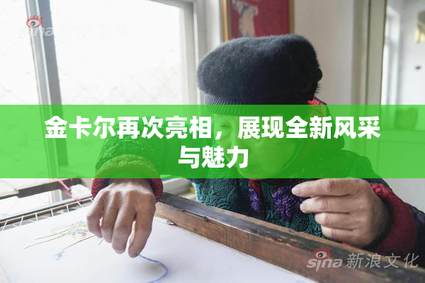 金卡尔再次亮相，展现全新风采与魅力