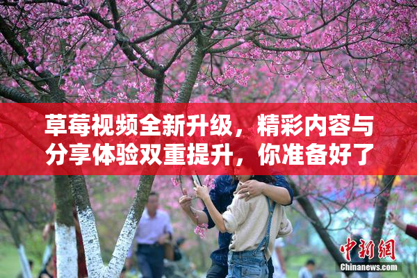 草莓视频全新升级，精彩内容与分享体验双重提升，你准备好了吗？