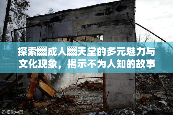 探索▓成人▓天堂的多元魅力与文化现象，揭示不为人知的故事。