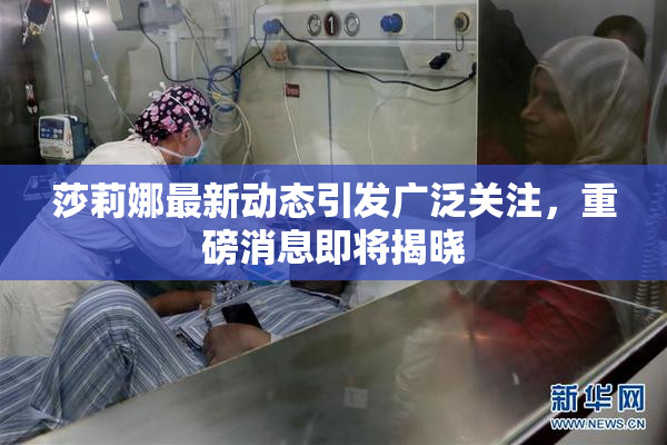 莎莉娜最新动态引发广泛关注，重磅消息即将揭晓