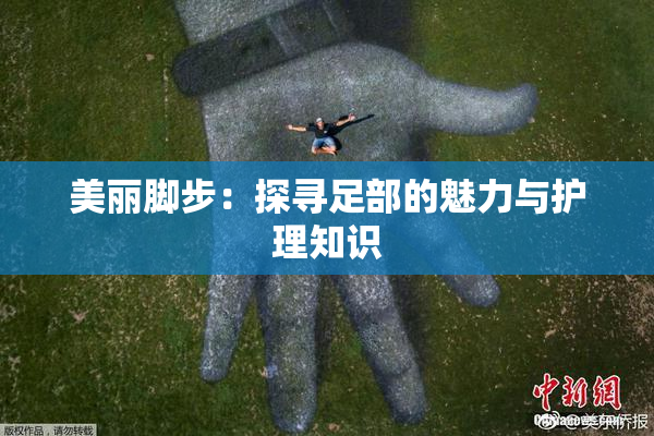 美丽脚步：探寻足部的魅力与护理知识