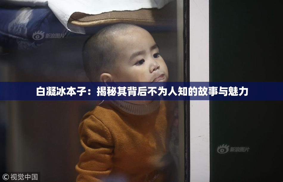 白凝冰本子：揭秘其背后不为人知的故事与魅力