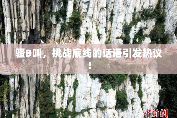 骚B叫，挑战底线的话语引发热议！