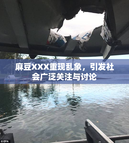 麻豆XXX重现乱象，引发社会广泛关注与讨论
