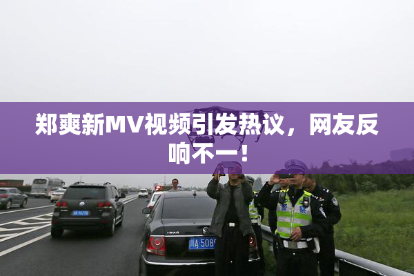 郑爽新MV视频引发热议，网友反响不一！