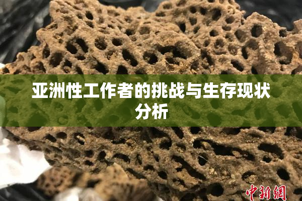 亚洲性工作者的挑战与生存现状分析
