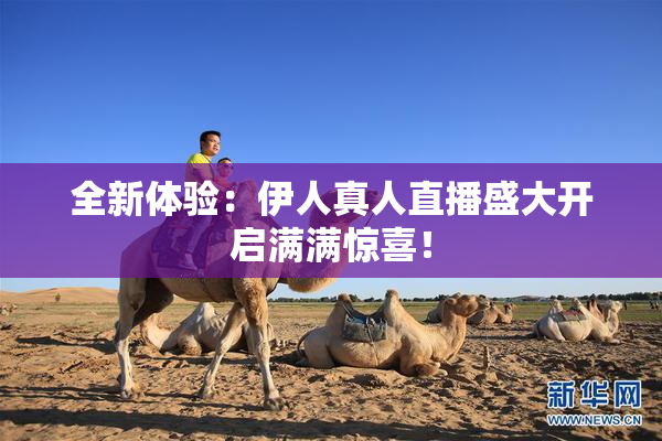 全新体验：伊人真人直播盛大开启满满惊喜！