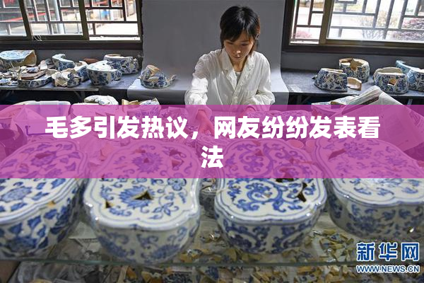 毛多引发热议，网友纷纷发表看法