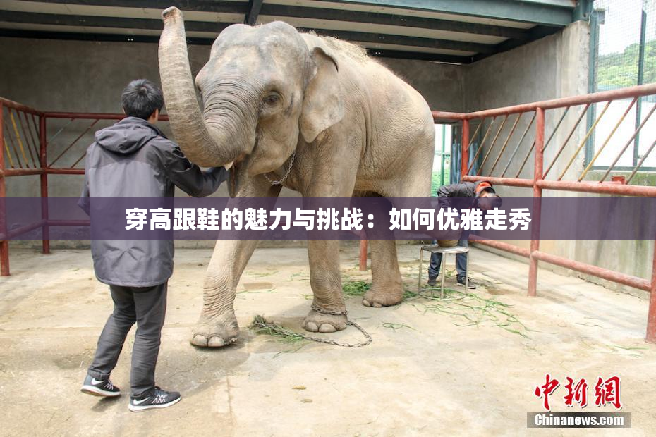 穿高跟鞋的魅力与挑战：如何优雅走秀
