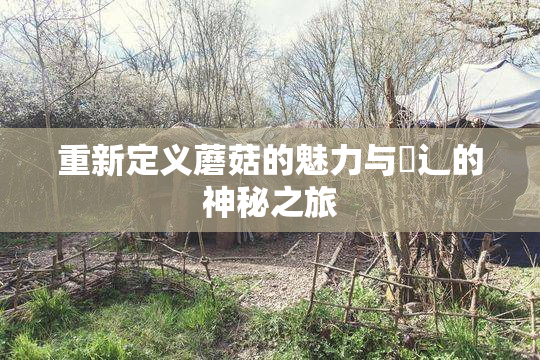 重新定义蘑菇的魅力与喿辶的神秘之旅