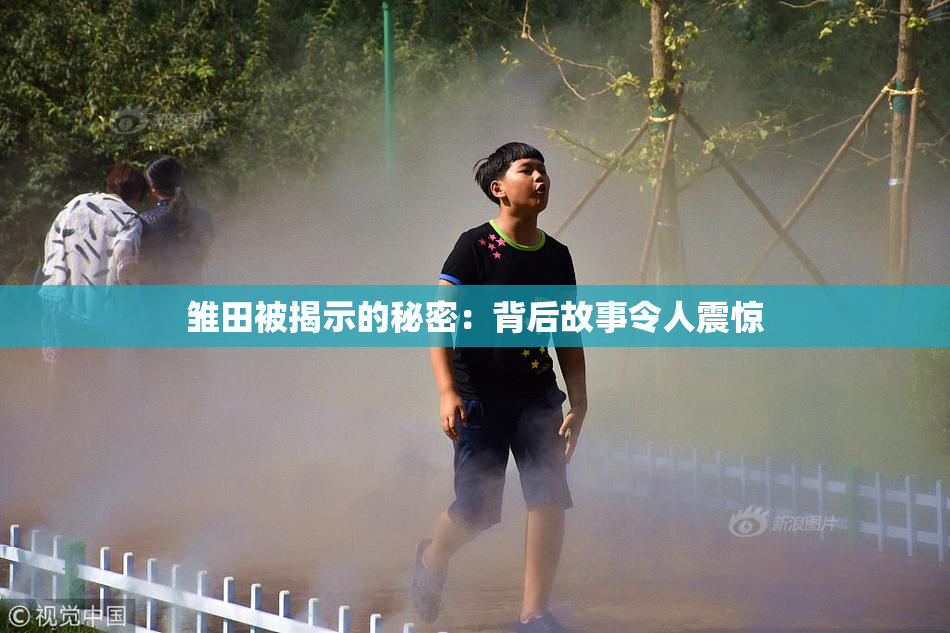 雏田被揭示的秘密：背后故事令人震惊
