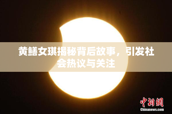 黄鳝女琪揭秘背后故事，引发社会热议与关注