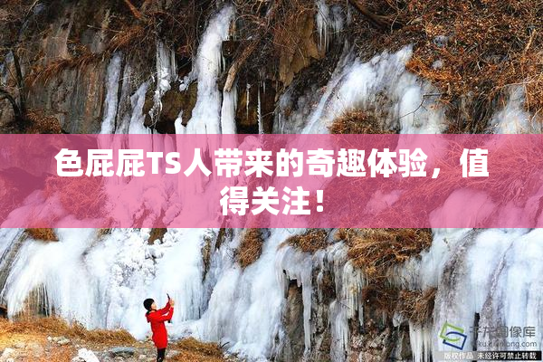 色屁屁TS人带来的奇趣体验，值得关注！