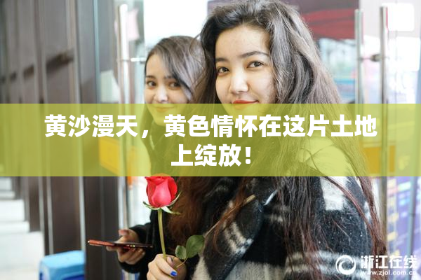 黄沙漫天，黄色情怀在这片土地上绽放！