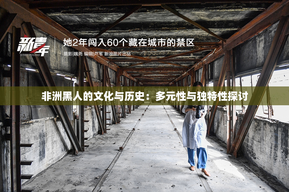 非洲黑人的文化与历史：多元性与独特性探讨