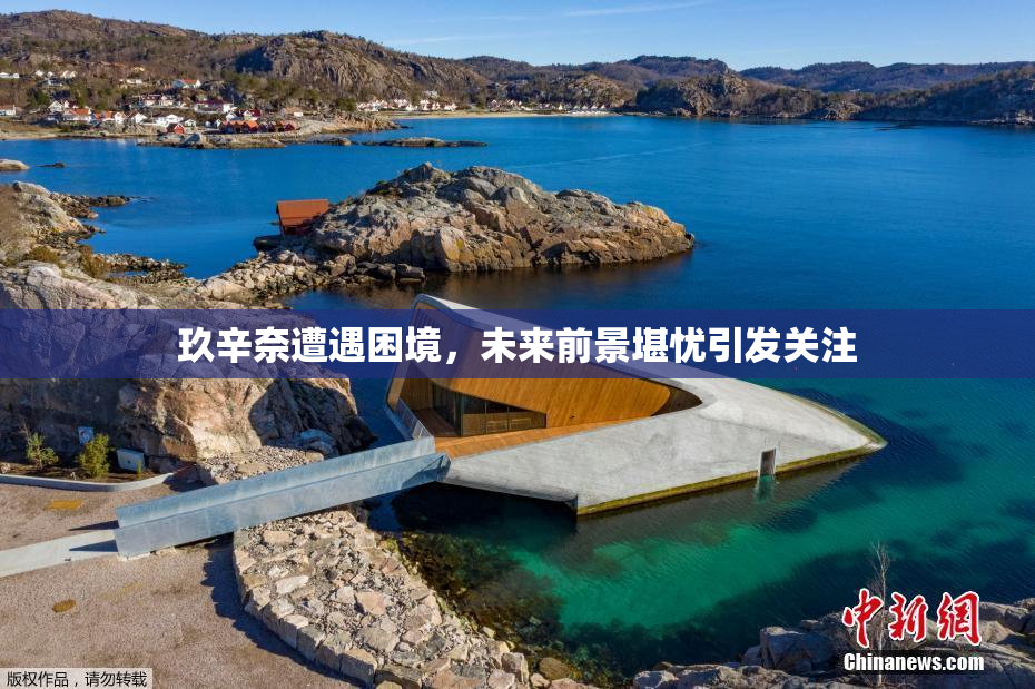 玖辛奈遭遇困境，未来前景堪忧引发关注