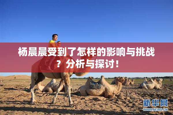 杨晨晨受到了怎样的影响与挑战？分析与探讨！
