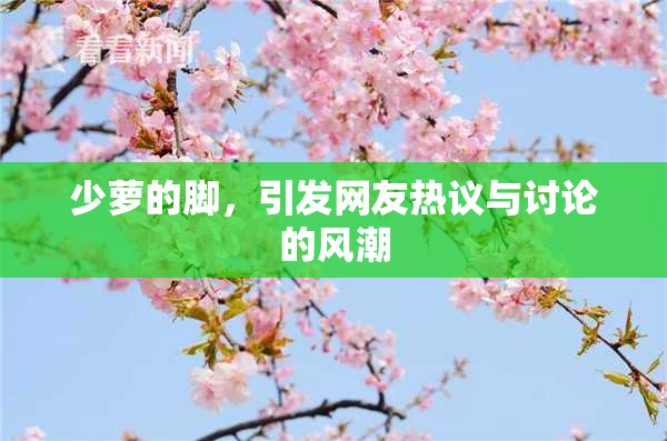 少萝的脚，引发网友热议与讨论的风潮