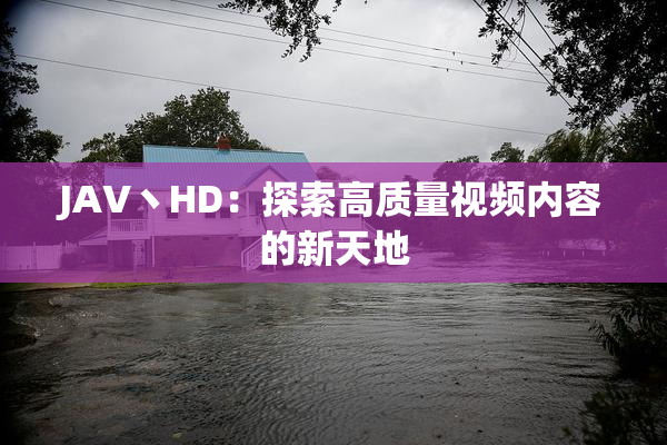 JAV丶HD：探索高质量视频内容的新天地