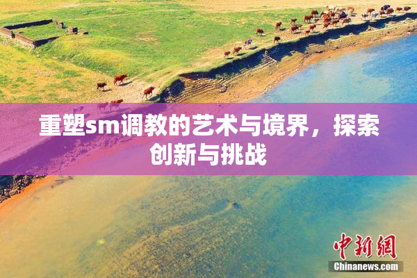 重塑sm调教的艺术与境界，探索创新与挑战