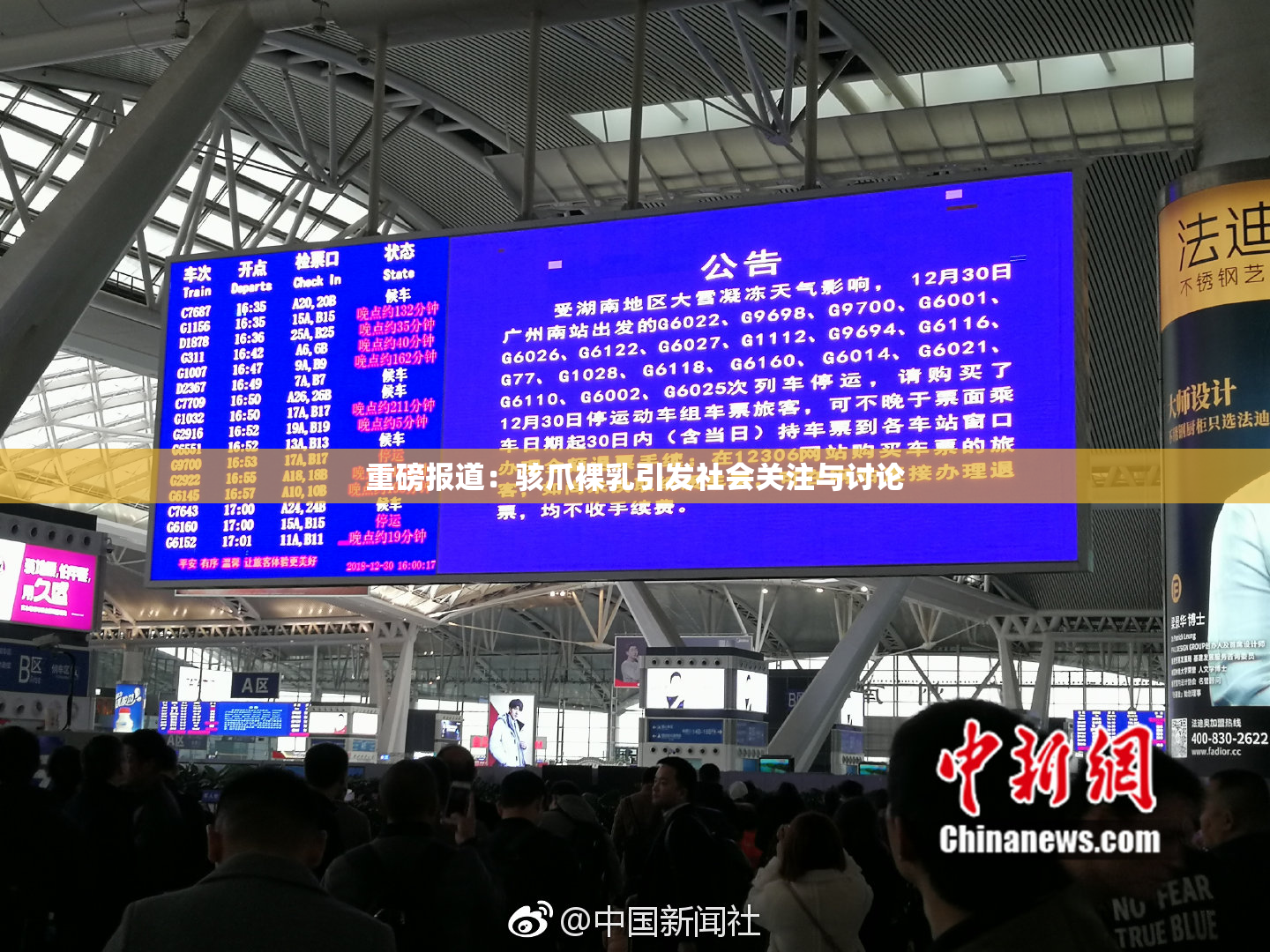 重磅报道：骇爪裸乳引发社会关注与讨论