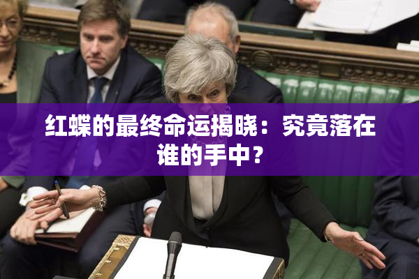 红蝶的最终命运揭晓：究竟落在谁的手中？