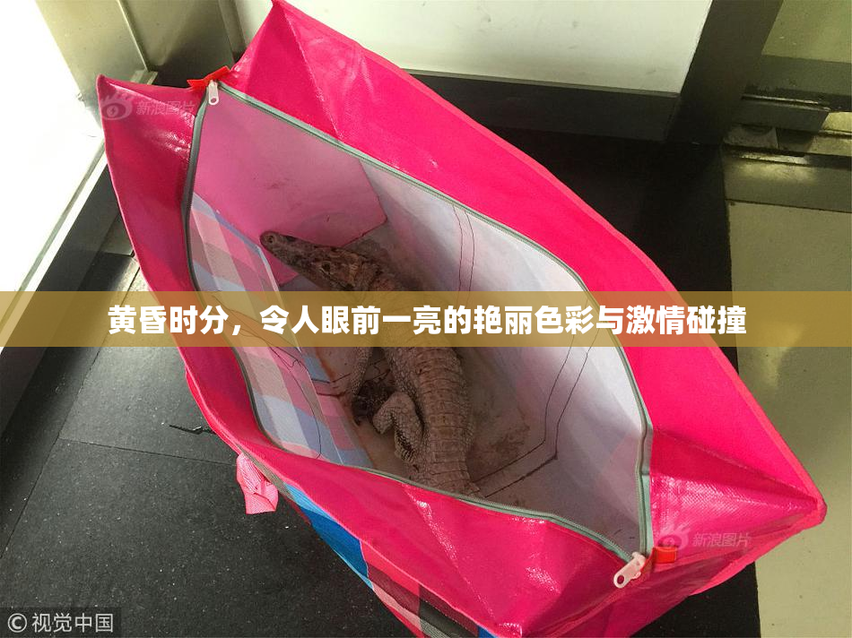 黄昏时分，令人眼前一亮的艳丽色彩与激情碰撞