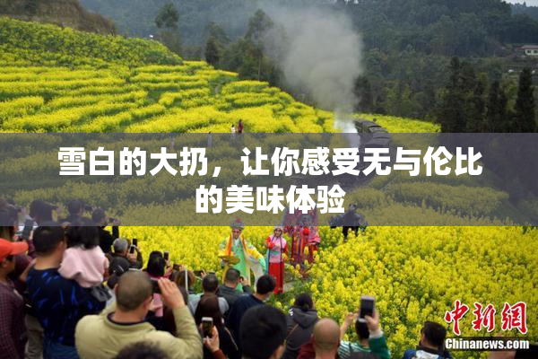 雪白的大扔，让你感受无与伦比的美味体验