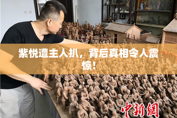 紫悦遭主人扒，背后真相令人震惊！