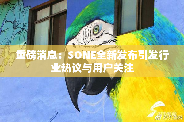 重磅消息：SONE全新发布引发行业热议与用户关注