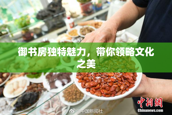 御书房独特魅力，带你领略文化之美