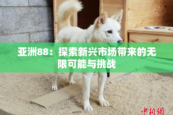 亚洲88：探索新兴市场带来的无限可能与挑战